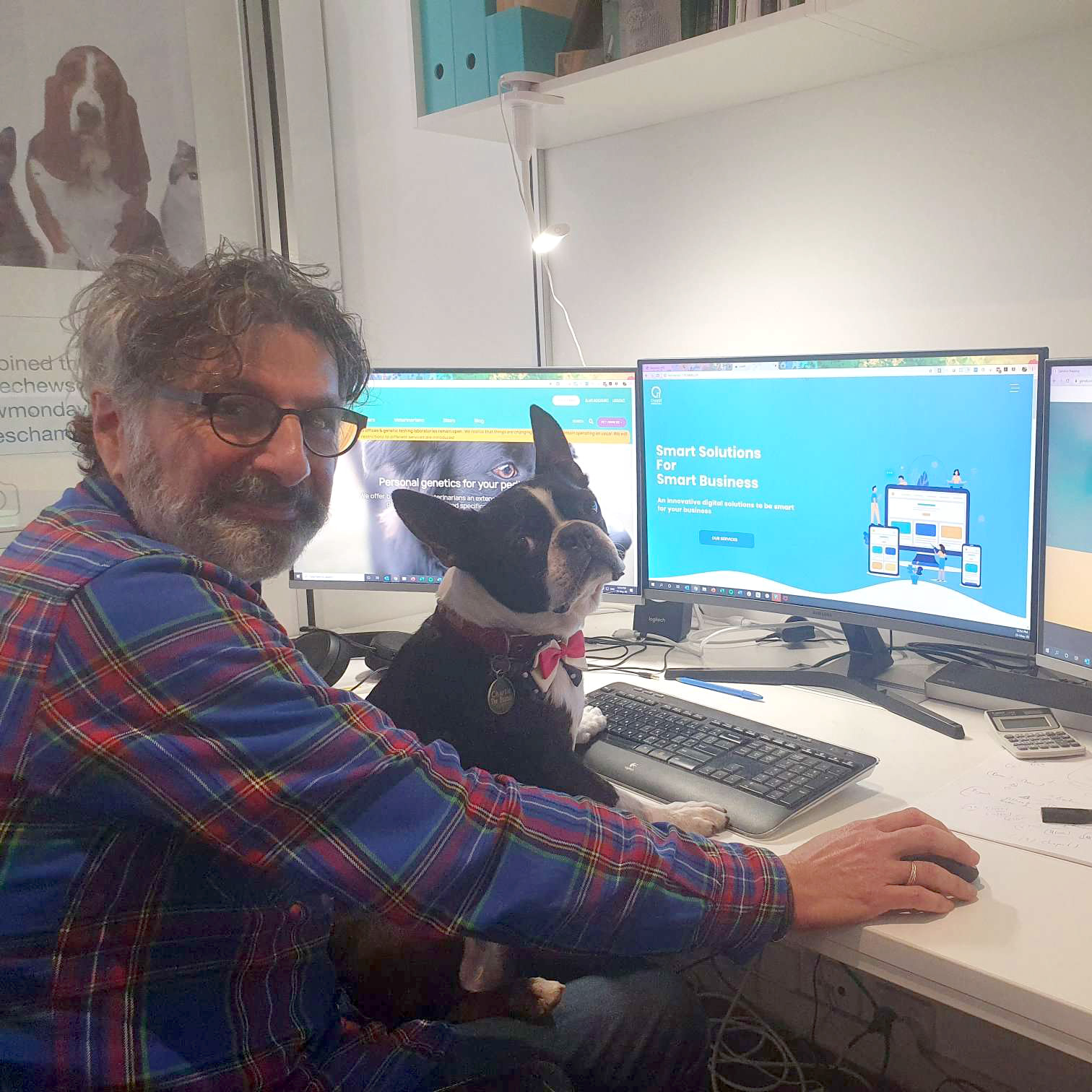 UI Designer